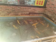 -醉美东江·三文鱼·烧鸡公