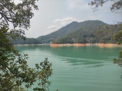 -广州市流溪河国家森林公园