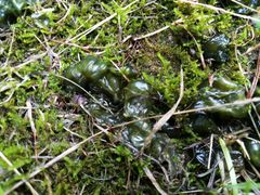 -经纬·泓汇地标家园