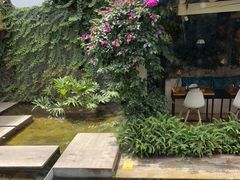 -大理老字号·舟渔的鱼野生菌海景餐厅(双廊店)