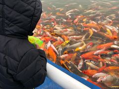 -北戴河圣蓝海洋公园