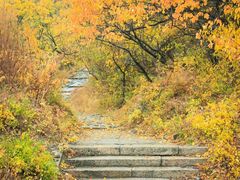 -阳台山自然风景区