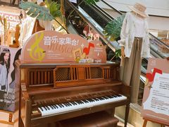 -鹏欣水游城