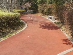 -徐家汇源景区-衡山公园