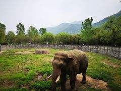-西安秦岭野生动物园