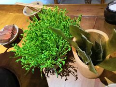 -白乐天毛肚火锅馆(解放碑店)