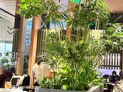 -gaga(深圳福田星河COCO Park店)