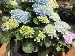 -瑞虹新天地月亮湾