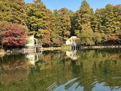 -上海共青森林公园