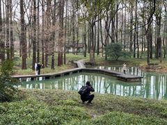 -杭州植物园