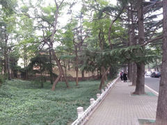 android_upload_pic-八大关景区