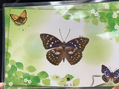 -上海昆虫博物馆