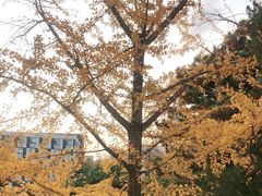 -大连理工大学中心-食堂