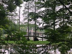 -东湖落雁景区