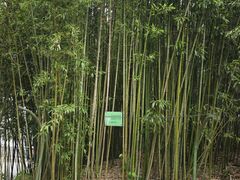 -皇家御河游(紫御湾码头)