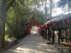 -观澜山水田园