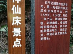 -滴水岩森林公园