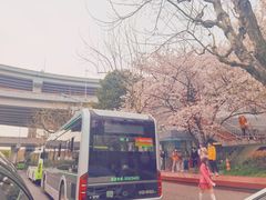 -南浦大桥长途旅游客运站