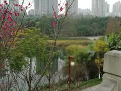 -重庆彩云湖湿地公园