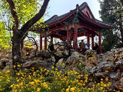 -宣武艺园