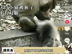 -昆明动物园