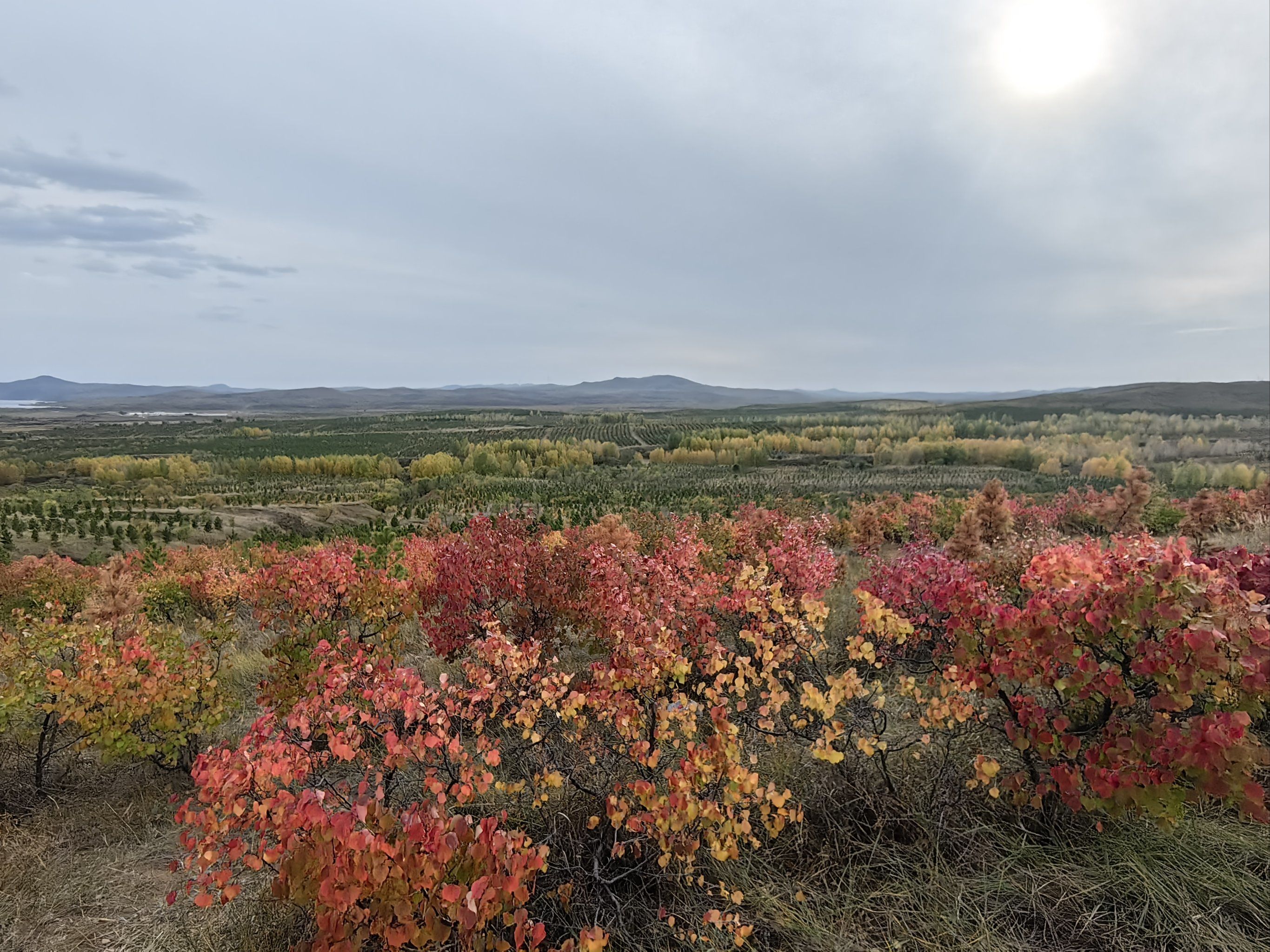 锡林郭勒多伦县的多伦湖,秋景绝美.门票便