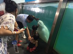 -北戴河圣蓝海洋公园