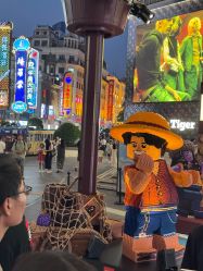 -乐高品牌旗舰店(人民广场店)