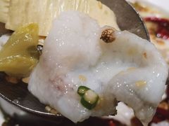 -姚姚酸菜鱼·金戈戈香港豉油鸡(喜荟城联名店)
