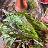 在香格里拉～吃到了最正宗的牦牛肉火锅