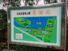 -白渔泡湿地公园