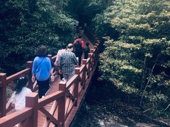 -广州市石门国家森林公园
