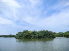 -大湾区中央湿地公园