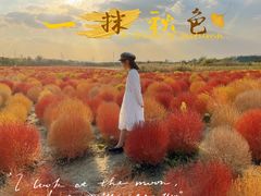 -映月湖中央公园