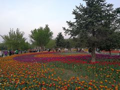 -长春公园(普阳街道)