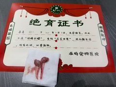 -派特宠物医院(圆融广场店)