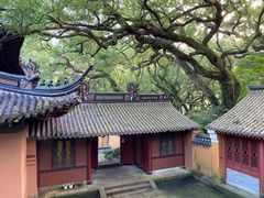 -法雨寺餐厅