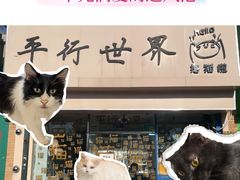 -平行世界·猫咖(首经贸店)
