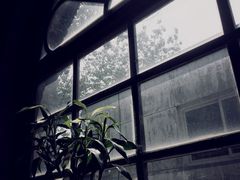 1901&nbsp;Cafe-1901 Cafe(西四店)