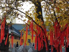 -宝通禅寺