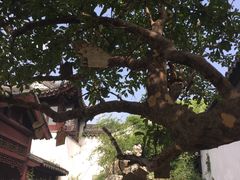 -苏州文旅花间堂·探花府酒店
