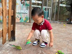 -杭州开元森泊度假乐园