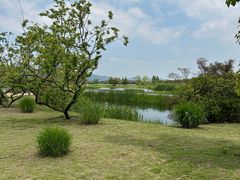 -良渚古城遗址公园
