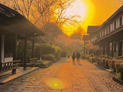 -西溪国家湿地公园