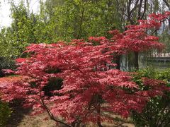 -西安汉城湖景区
