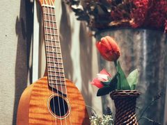 -WithU悠弦时光·尤克里里之家ukulele(宽窄巷子店)