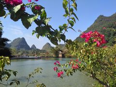 -靖西鹅泉风景区
