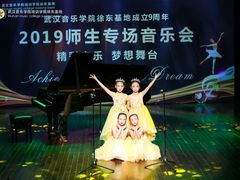-武汉音乐学院徐东基地