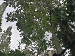 -胶囊画廊