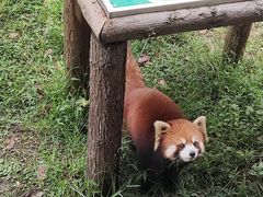 -宁波野生动物园